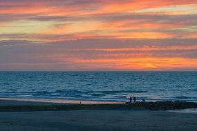picturesque and pretty bredene beach