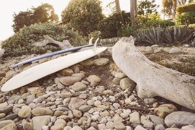 surfboard on rocky coast