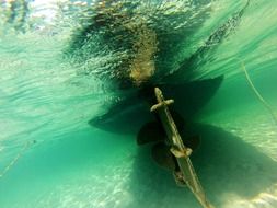 diver swims under water