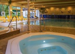 relaxation complex of jacuzzi and swimming pool