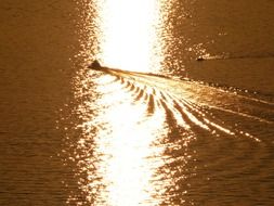 fisher boat in night sea sailing