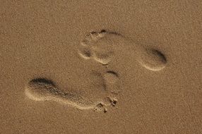 footprint on sand beach