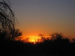 sunset over the nature of africa