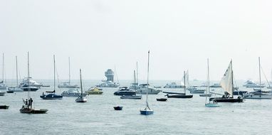 sailboats in port in India