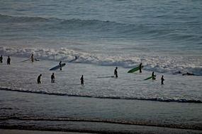 surfers in water at beach