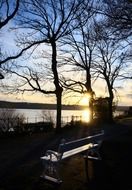 bench near the trees on the lake at sunset