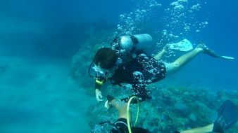 underwater diving in sea blue water