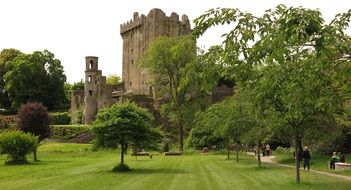 ruins of an irish castle in a beautiful park