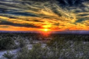 desert texas