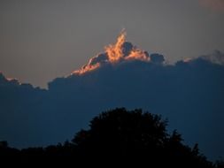thick clouds and sunlight over the trees