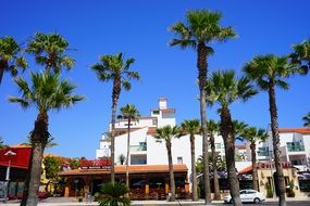 hotel near the palm trees