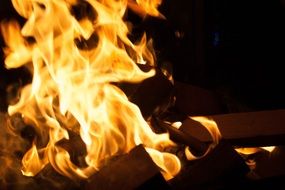 bonfire orange flame