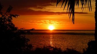 sunset afterglow and palms view