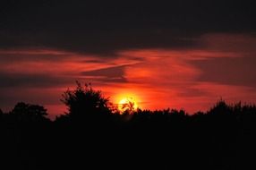 the setting sun behind the trees