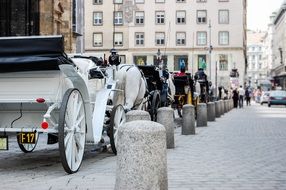 Carriages for walks in the streets, Austria