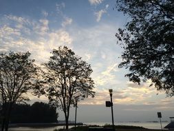 singapore beach with trees east coast park