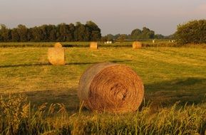 Round bales on the meadow