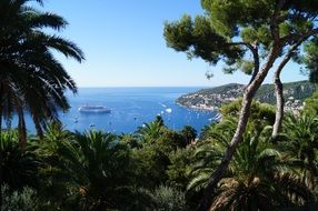 exotic sea view