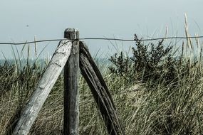 wire fence in grass on dune