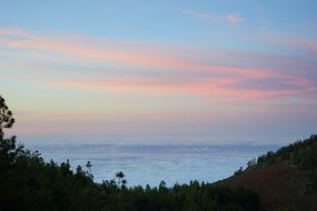 sea sunset forest border