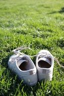 white sneakers on green lawn in Finland