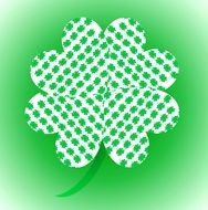 four leaf clover drawing