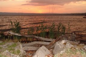 lago di bolsena lake