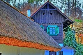 log houses with thatched roofs close-up