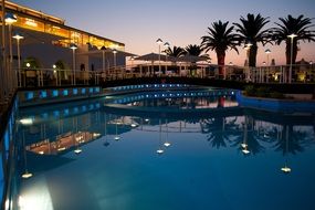 palm trees by the pool in hotel