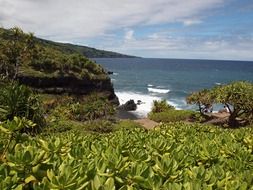 hawaii beach