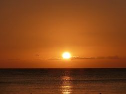 Orange sunset over the ocean in evening