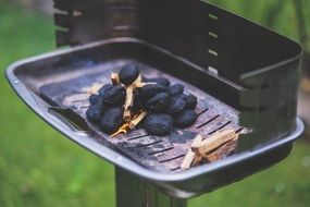 briquette grill