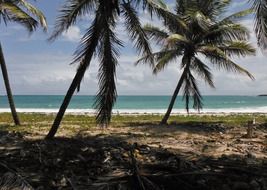 picturesque Martinique island