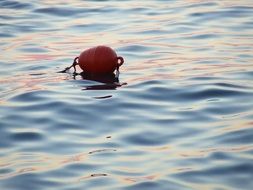 fishing buoy