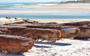 rusted wood on the beach