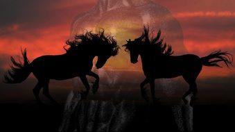 drawn two mustangs against a scarlet dawn