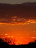 gilded clouds and orange sunset