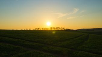 yellow sunset over wineries