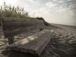 wooden bench on the beach near the sea