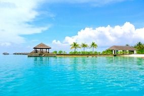 Maldives coconut tree resort romance