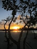 tropical sunset over the jungle