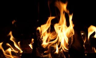 irresistible camping flame