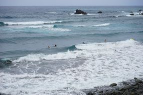 water waves sea surfer fun bathing ocean