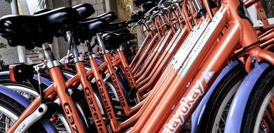 Bicycles in Amsterdam