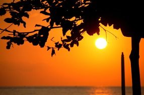 sunset near water, beautiful scene