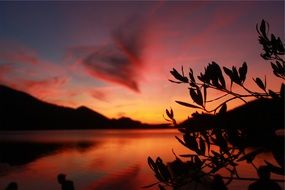 crimson sunset over the lake
