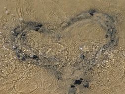 heart pattern in water