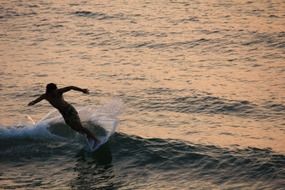 surferboy on wave