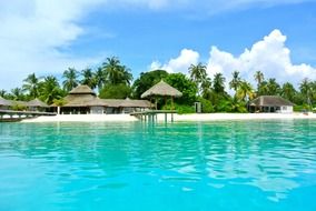 coconut tree resort Maldives