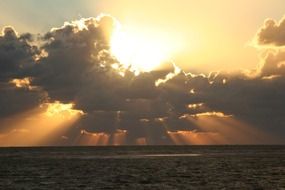 unusual beauty north sea